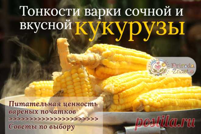 Как варить кукурузу – лучшие методики