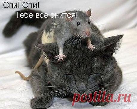 А ВАМ СЛАБО...