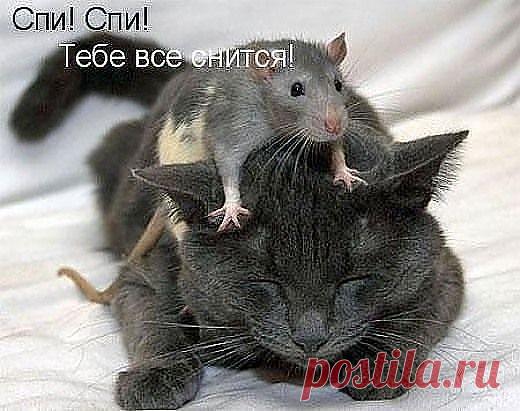 А ВАМ СЛАБО...