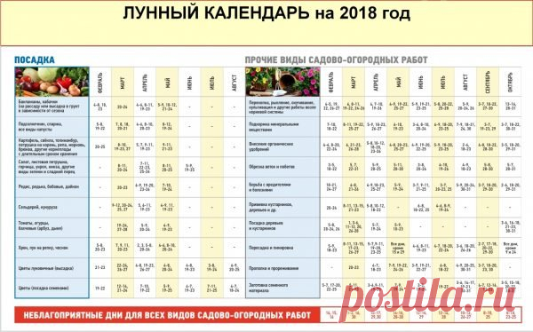 Когда сажать помидоры на рассаду: календарь посадок на 2018 год » Последние новости - Search News
