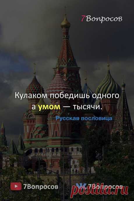 Кулаком победишь одного а умом — тысячи. © Русская пословица. #цитаты #афоризмы #мудрыеслова #духовныйрост