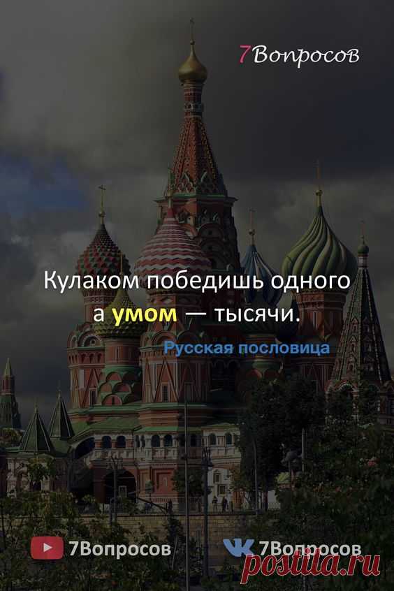 Кулаком победишь одного а умом — тысячи. © Русская пословица. #цитаты #афоризмы #мудрыеслова #духовныйрост