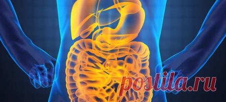 Простой способ избавить свое тело от килограммов отравляющих его токсинов