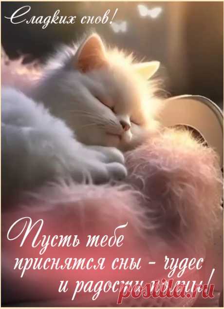 Спокойной ночи и сладких снов! Пусть вся усталость уйдет, а вместо нее придут спокойствие и вдохновение. сладких снов открытки