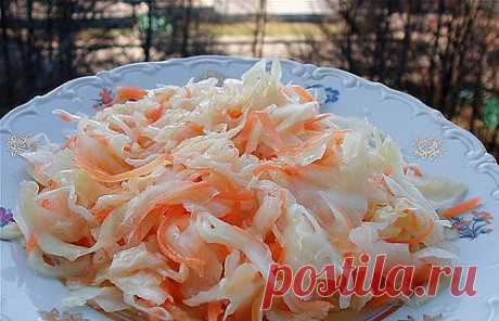 СОЛЕНАЯ КАПУСТА С МЕДОМ | ВКонтакте