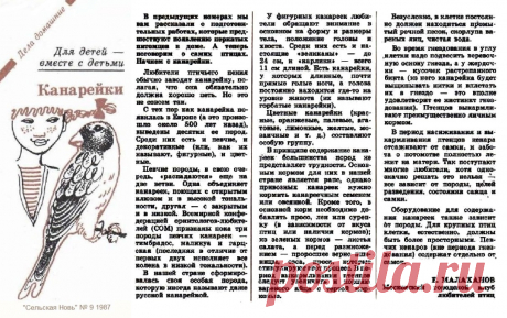 Канарейки