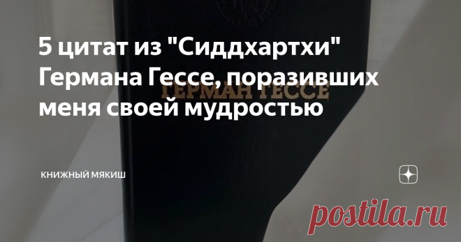 5 цитат из 