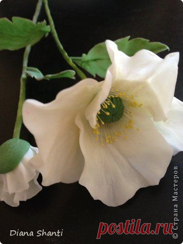 Самые простые цветы из глины fleur | Страна Мастеров