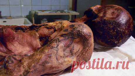 Принцесса Укока: диагноз спустя 2500 лет