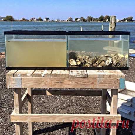 Лучший фильтр для очистки воды — Фото дня, 29 октября 2014