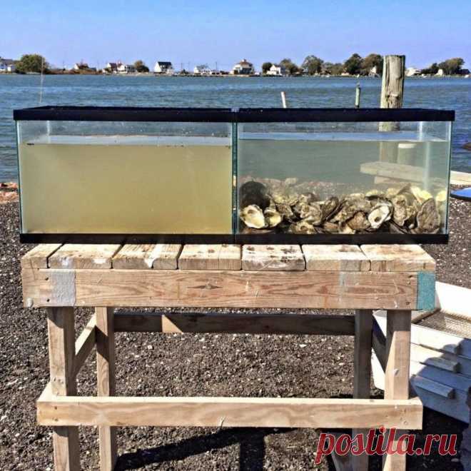 Лучший фильтр для очистки воды — Фото дня, 29 октября 2014