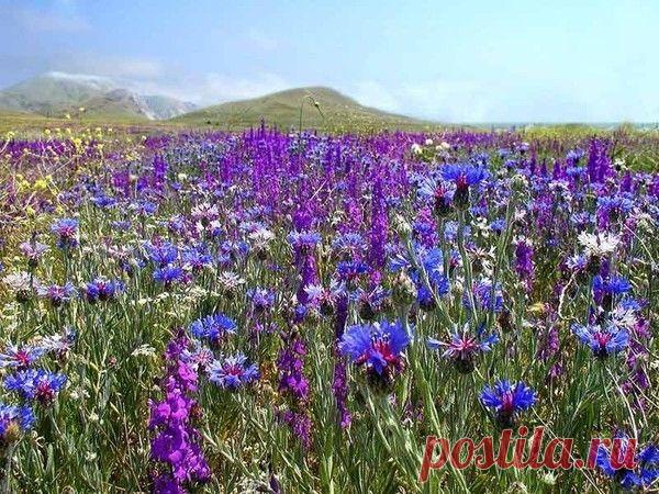 Мой Мир@Mail.Ru