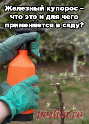 Железный купорос – что это и для чего применяется в саду?