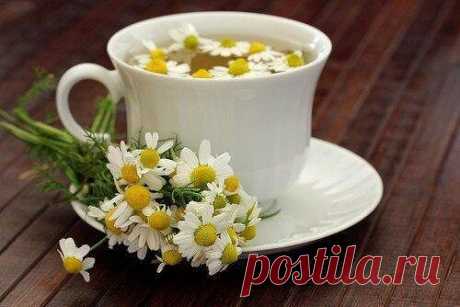 Польза ромашки для кишечника