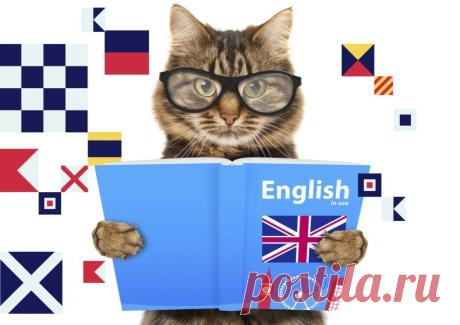 10 правил английского языка, которые должен знать каждый | Language Link-ug | Яндекс Дзен