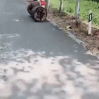 Китай рулит!