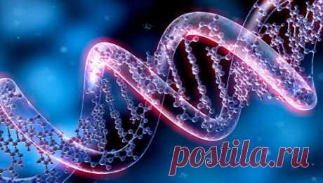 Ученые выяснили, почему зарядка продлевает жизнь - 30 Июля 2016 - Здесь интересно! - Дискотека 80-х!