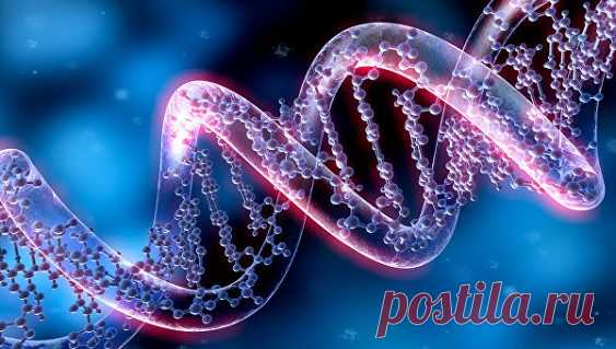 Ученые выяснили, почему зарядка продлевает жизнь - 30 Июля 2016 - Здесь интересно! - Дискотека 80-х!