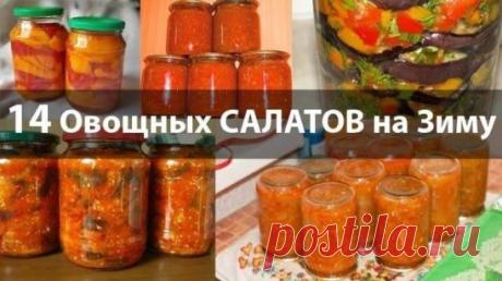 14 овощных САЛАТОВ на зиму.
Каждый салат – хорошее дополнение к любому блюду из мяса, птицы или рыбы. 2-3 ложки салата, добавленного в суп, щи или борщ, изменят их вкус и придадут первым блюдам особую пикантность. В любом случае для каждой хозяйки хороший салат в зимнее время всегда будет палочкой-выручалочкой.
✅ Салат «Молодчик»
Потребуется: 2 кг цветной капусты, 1,8 кг моркови, 3 кг сладкого перца, 
400 г сахара, 300 г соли, 800 мл 6%-го уксуса.
Цветную капусту разделить на соцветия, ошпарить
