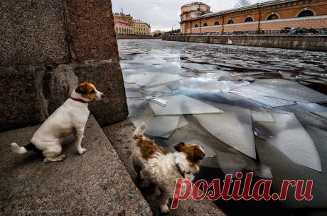 Фото Петербург