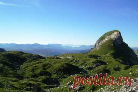 (5) Turistička Organizacija Žabljak