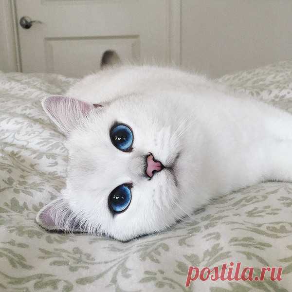Мой Мир@Mail.Ru