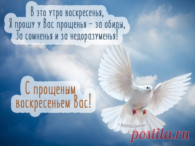 Прошу за все меня простить,
Зла не держать и не бранить.
Ведь обижаться — это грех,
Тогда и Бог простит нас всех.