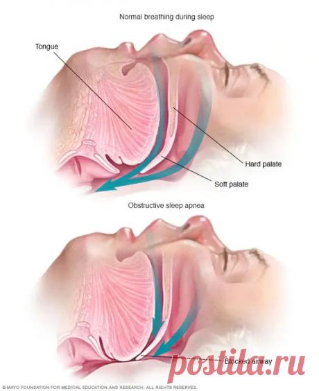 Опасный сон: как не умереть в своей кровати - ПолонСил.ру - социальная сеть здоровья - медиаплатформа МирТесен На кухне всегда должны быть какие-нибудь сладости, которые можно взять с собой, чтобы перекусить в офисе или перекусить после тренировки.
Вы можете купить печенье, конфеты, кексы и другие вкусности в магазине, а можете приготовить их дома.
Чтобы сделать эти полезные и вкусные сладости, вам понадобится: овсяная мука
Как стать счастливой: 13 шагов к женскому счастью
Счастье — это не цел…