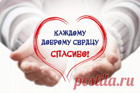 Спасибо каждому доброму сердцу!