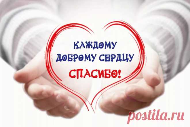 Спасибо каждому доброму сердцу!