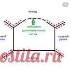 Росток без укорочённых рядов.
