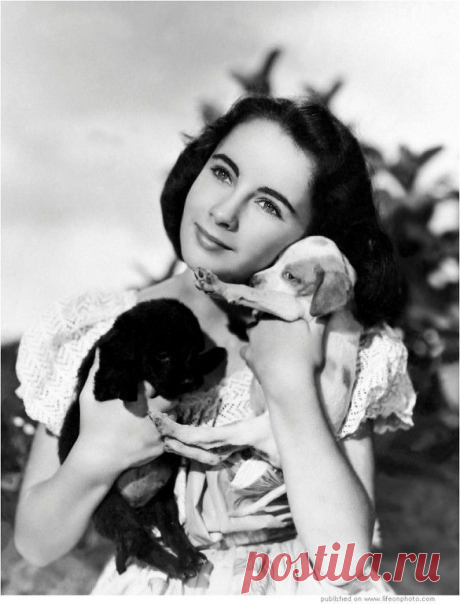 АЛЕКСАНДР ВАСИЛЬЕВ&amp;ДРУЗЬЯ
NiNa .