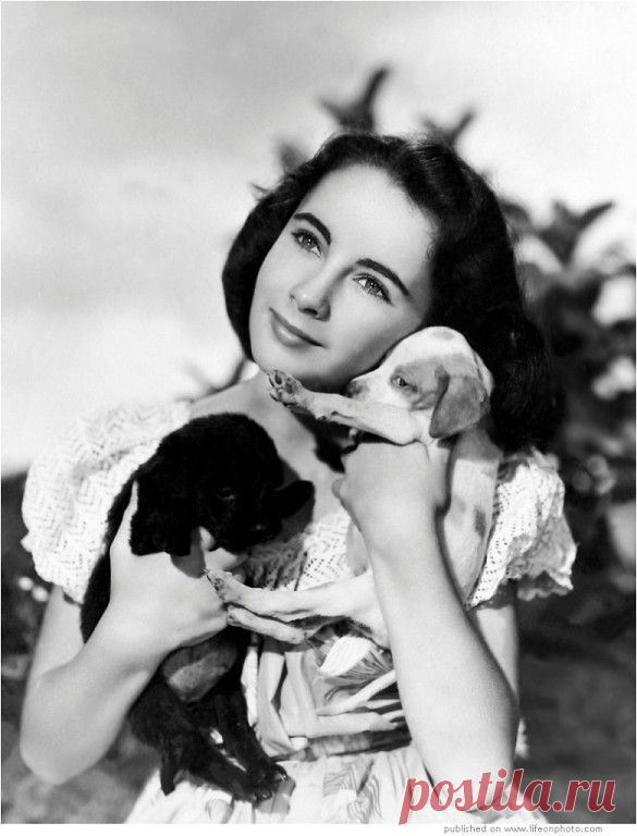 АЛЕКСАНДР ВАСИЛЬЕВ&ДРУЗЬЯ
NiNa .