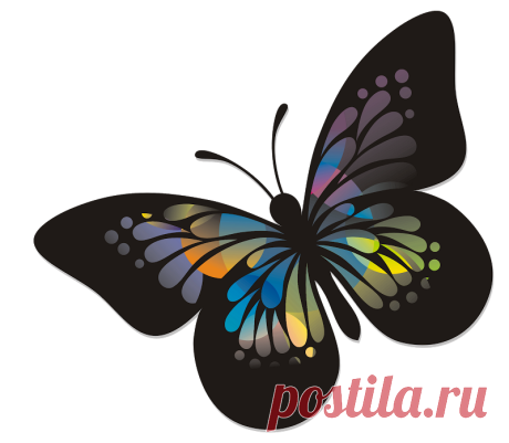 mariposas, libélulas