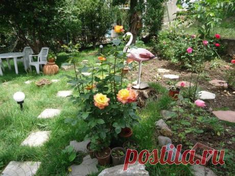 путешествие отдых