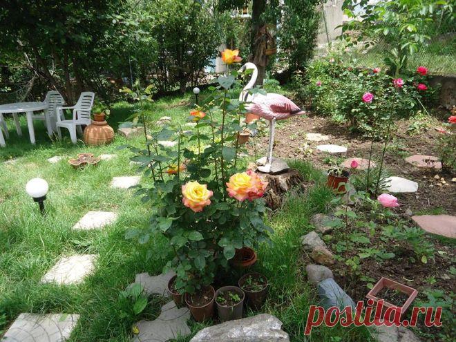 путешествие отдых