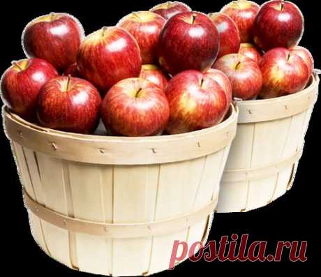 клипарт «дары природы