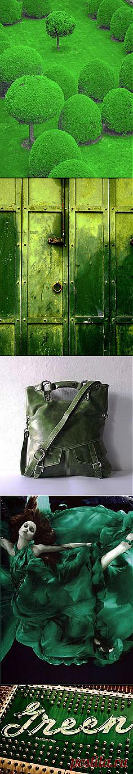 green web | Windows to the Soul