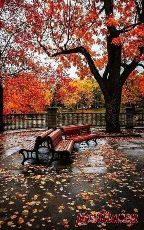 (14) Pinterest