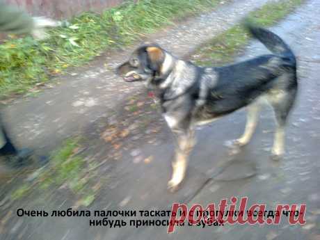 с прогулки...