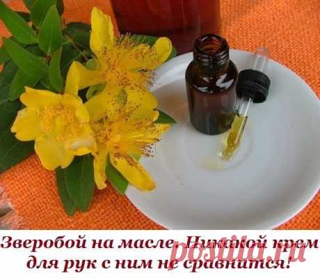 Зверобой на масле.
Никакой крем для рук с ним не сравнится!

Делается он так:
в бутылочку на одну треть положить сушеные или свежие цветочки зверобоя, залить растительным маслом доверху, закрыть пробкой. Бутылочку поставить в холодильник на нижнюю полку. Через месяц настой готов. Им надо смазывать чистые руки на ночь. Настой зверобоя на масле лечит любые ранки, кожу, а также суставы рук. Утром кожа рук будет мягкой, нежной, ранки быстро заживут, раздражение на коже исчезне...