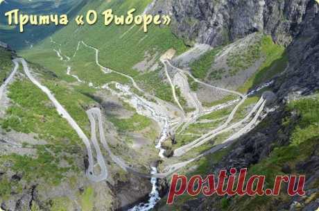 Притча О Выборе