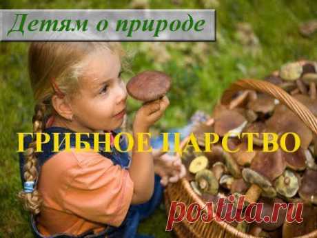 Царство грибов 2 класс. Информация о грибах для детей - YouTube