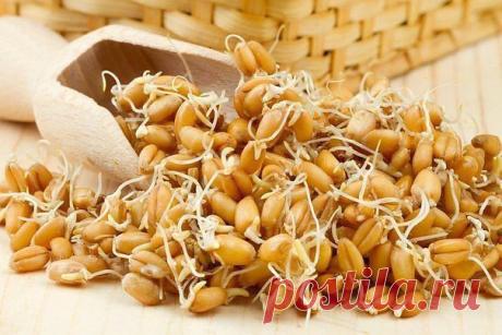 пророщенные зерна