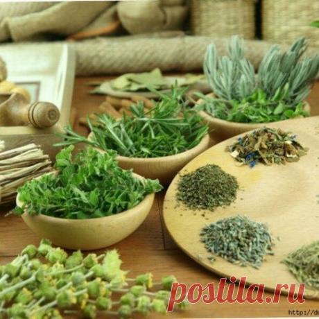 5 ТРАВ, СНИЖАЮЩИХ АРТЕРИАЛЬНОЕ ДАВЛЕНИЕ.