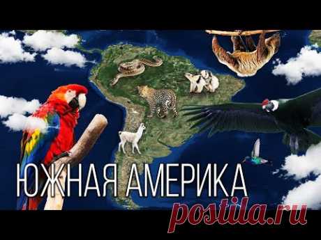 Материк Южная Америка: Самый удивительный континент Планеты Земля | Интересные факты о Южной Америке