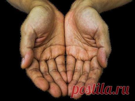 Хиромантия: изучаем линию Ума
Здравствуйте! Линия головы — одна из основных, на которые обращают внимание при изучении рук. Свое начало она берет между указательным и большим пальцем, следует в противоположную сторону руки. pixabay pixabay Эта линия есть на обоих руках, мы помним, что у правшей активная рука правая, у левшей наоборот. Активная показывает то, что есть сейчас, то что […]
Читай пост далее на сайте. Жми ⏫ссылку выше