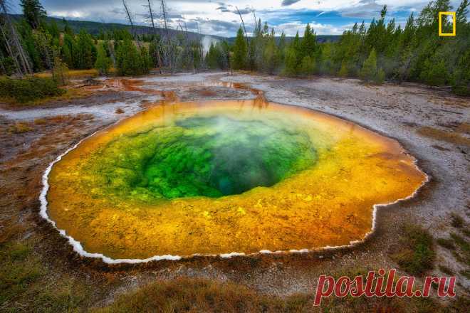 Красивые ландшафтов и дикой природы от National Geographic Больше нечего добавить.
14 фото

1. Природа и трубы. (Фото Jassen T | National Geographic Your Shot):
  2. Арктические отражения. (Фото Mike Leske | National Geographic Your Shot):

3. Сёрфьорд, Норве…