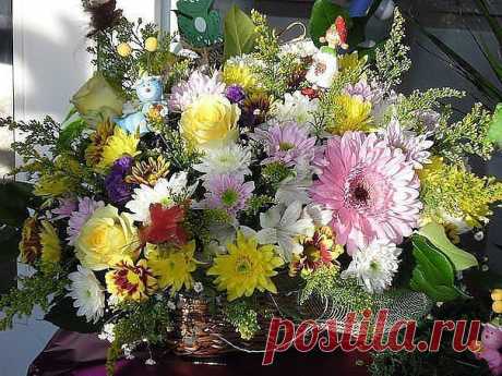 Можно думать бесконечно, что всё кругом обман, но лучше один раз попробовать и понять, что всё не так как кажется. Хочешь успешно работать в интернете, зарабатывать реальные деньги, тратить ровно столько времени, сколько позволяют домашние дела, тогда пишите .+++ в комментариях или заходите на сайт