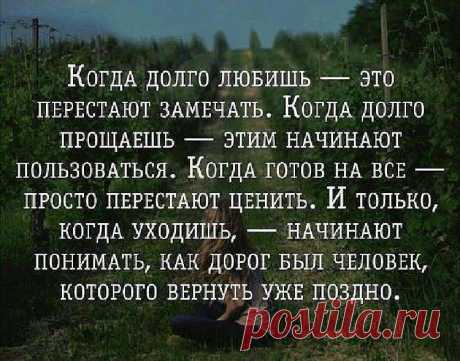 Подборка мудрых фраз о правде жизни. — Жизнь под Лампой!